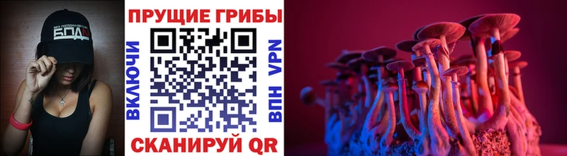 Галлюциногенные грибы мицелий  Купить закладки  Первомайск 